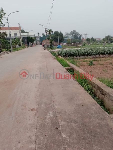 Selling service land in Lai Yen, Hoai Duc 91m2- MT =6.2m Sidewalk Land, Price 4xtr\\/m2 Sales Listings