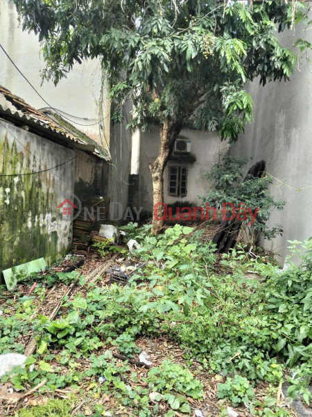 . BEAUTIFUL LAND PLOT AT A REASONABLE PRICE - IN THE DEVELOPING DAI ANG AREA. Sales Listings