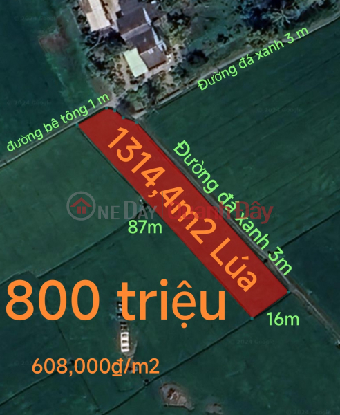 Urgent sale of two-frontage rice field in Duc Tan commune, price 800 million Sales Listings