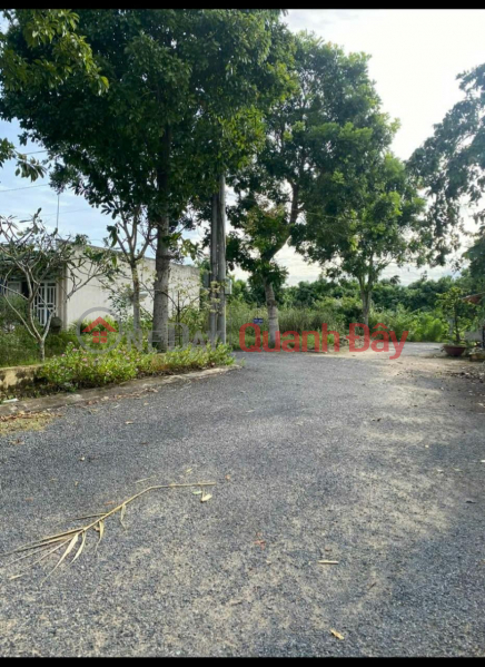 đ 590 Million OWNER'S LAND - QUICK SALE OF LAND PLOT At National Highway 30, Tan Hung, Cai Be, Tien Giang