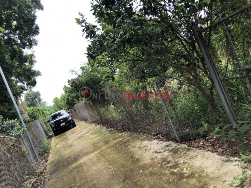 đ 2.35 Billion | Own 1600m2 Land of Owner - Good Price In Bamboo Village, Bao Quang Commune, Long Khanh City - Dong Nai