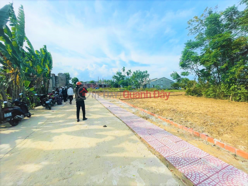 Property Search Vietnam | OneDay | Sales Listings | Land only 100m from Hung Vuong street S=355m2 5m concrete road right at the Commune People's Committee