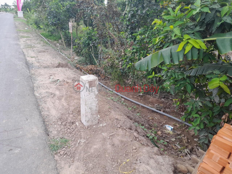 Property Search Vietnam | OneDay | Residential, Sales Listings, OWNER FOR SALE LOT OF LAND BEAUTIFUL LOCATION - GOOD PRICE In Doc Binh Kieu Commune, Thap Muoi District, Dong Thap