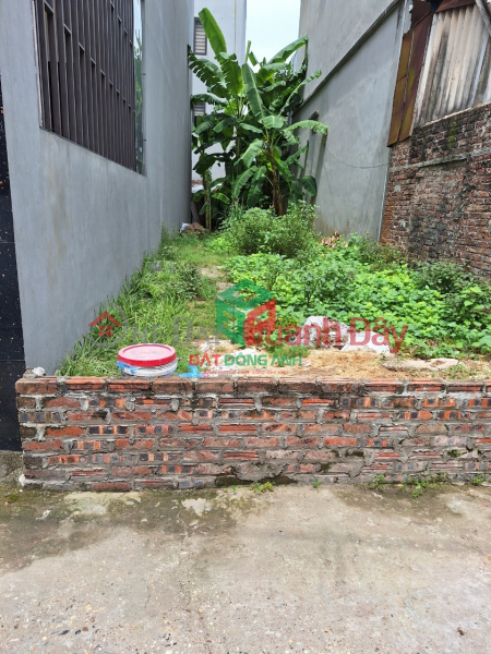 Property Search Vietnam | OneDay | Nhà ở Niêm yết bán | Bán 80m2 đất Phù Liễn Bắc Hồng đường ô tô vào - sát khu đấu giá