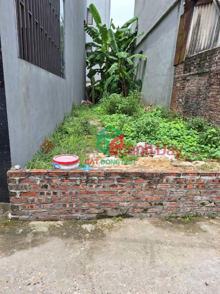 Property Search Vietnam | OneDay | Residential Sales Listings, Selling 80m2 of land in Phu Lien, Bac Hong with car access - close to the auction area