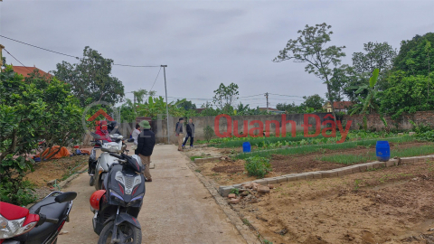 Beautiful land - investment price to own a potential F0 land lot in Thuong Tin district, Hanoi city _0
