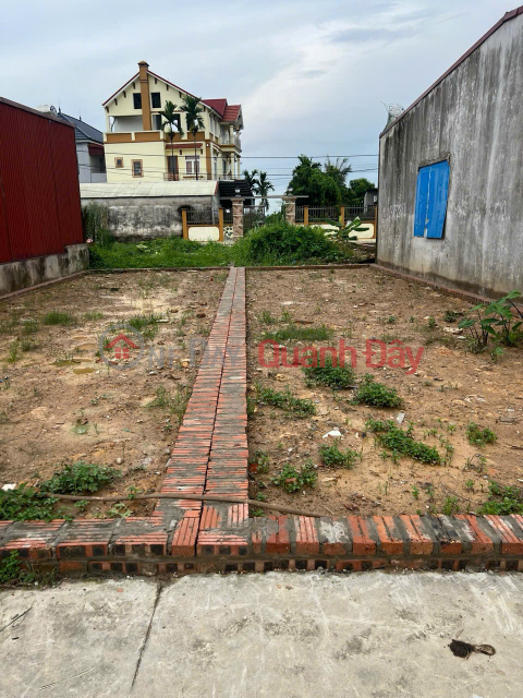 Cần Bán 58m thôn Ấp Tre, Tổ 10 Quang Minh, Mê Linh, HN. Đường thông, oto ra vào đất _0