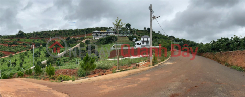 GOOD LAND - BEAUTIFUL VIEW - CHEAP PRICE - Own Resort Land Immediately In The Suburbs Of Da Lat _0