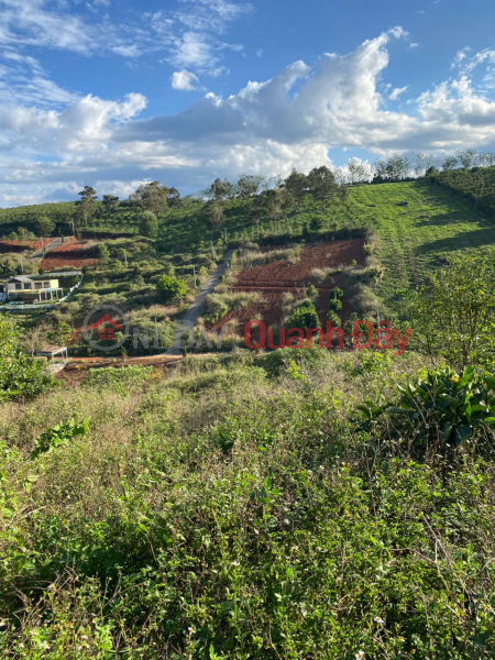 Owner Sells 500m2 of Land at Ly Thuong Kiet, Loc Phat Ward, Bao Loc City, Lam Dong Province (now Ward 1) Vietnam Sales | đ 900 Million