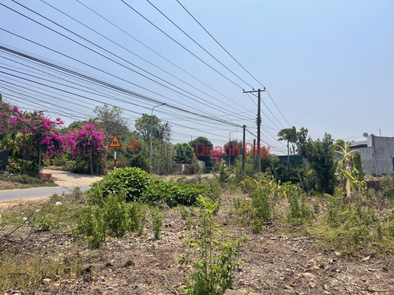 đ 460 Million Owner Needs to Sell Land Plot, Beautiful Location, Phu Binh Commune, Tan Phu Town, Dong Nai