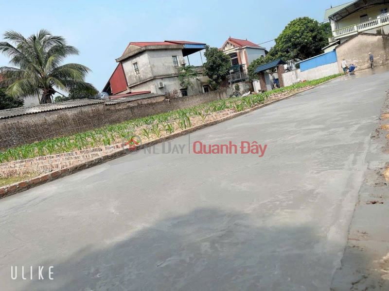 URGENT SALE OF LAND AREA 80 FUN RESIDENTIAL IN THANH TRI MINH, PHU, SOC SON, HANOI Sales Listings