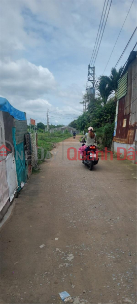 Property Search Vietnam | OneDay | Residential Sales Listings | OWNER Needs to Sell Land LOT Location In Vinh Loc B Commune, Binh Chanh District, HCMC