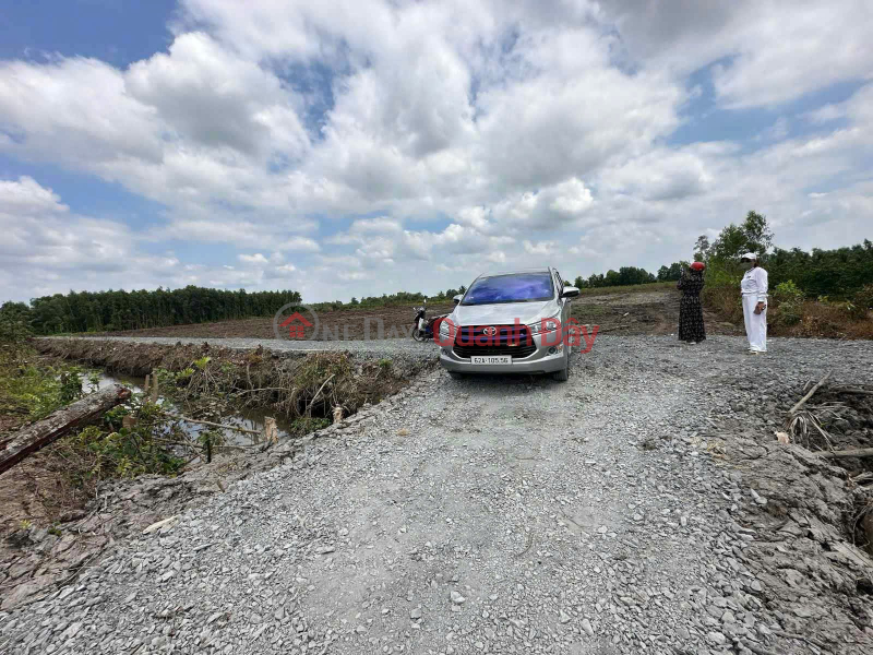 Land with clear ownership - Frontage in Thanh Hoa Commune, Ben Luc District, Long An Province Sales Listings