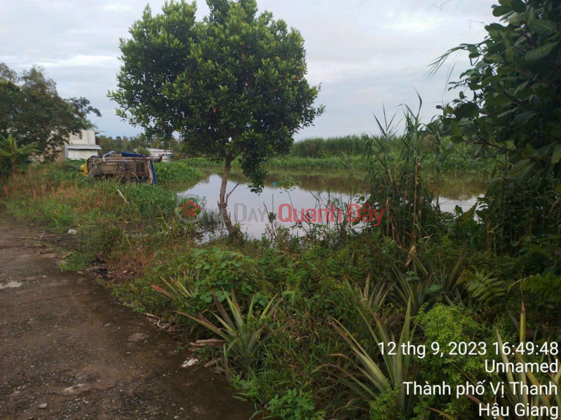 The owner needs to sell land in Hau Giang City for only 220 million Sales Listings