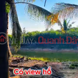 ĐẦU TƯ LÀ SINH LỜI - CHÍNH CHỦ CẦN BÁN ĐẤT VIEW NHÀ YẾN – Xã Trà Tân, Bình Thuận _0