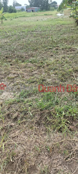 The Owner Sells Land That Has Been Grounded In Ba Tri Center, Ben Tre Sales Listings