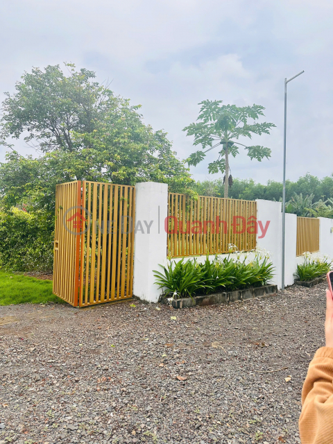 Bán đất nền DA GREENERY HOUSE BRVT - DT THỔ CƯ 100m2 - SỔ HỒNG RIÊNG _0