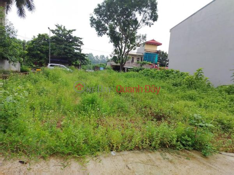 Land in Dong Xuan, Phuc Yen, Vinh Phuc 400m2 Full ODT Sales Listings