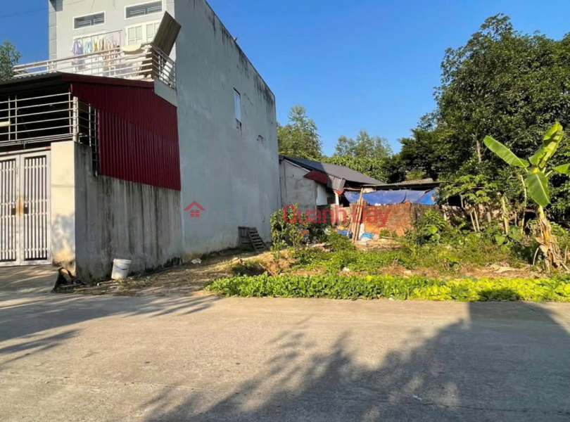 PLOT OF LAND 60M² RIGHT AT THE CAM LAM – DUONG LAM – SON TAY INTERSECTION Sales Listings