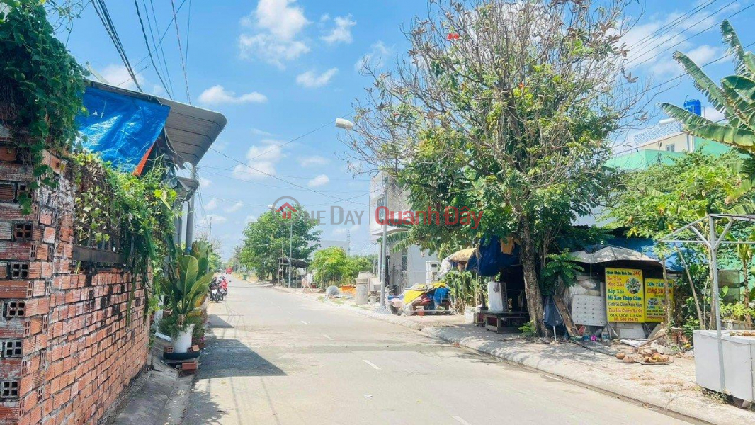 Property Search Vietnam | OneDay | Residential, Sales Listings | BEAUTIFUL LAND - GOOD PRICE - 2 Five-Star Residential Land Lots for Sale - Long Dinh, Can Duoc, Long An