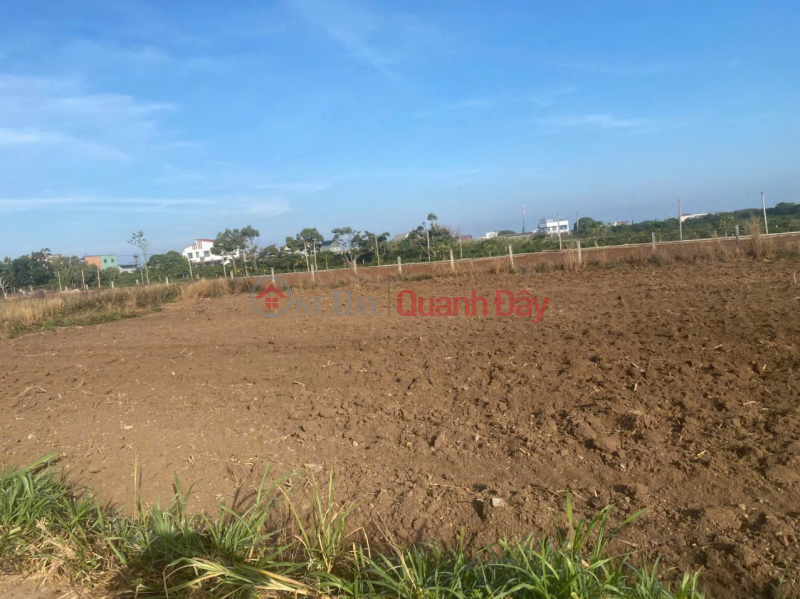 PRIME LAND - GREAT PRICE - OWNER SELLING 4 ADJACENT PLOTS IN TAN HOI COMMUNE, DUC TRONG DISTRICT, LAM DONG PROVINCE Sales Listings