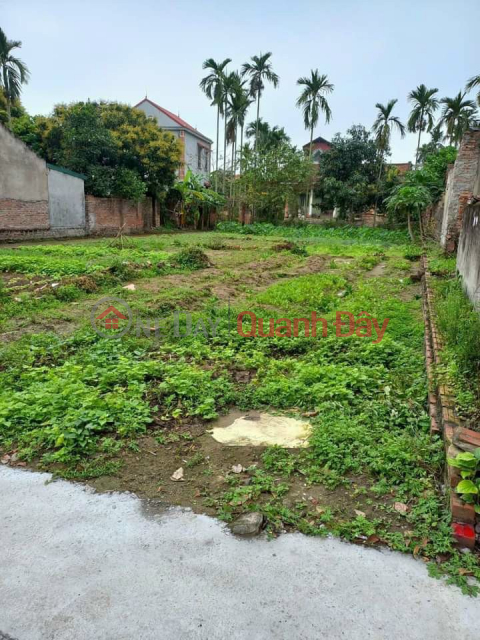 For sale 58m2 of land at Le Xa, Duong Quang, My Hao, open road, entrance to the house _0