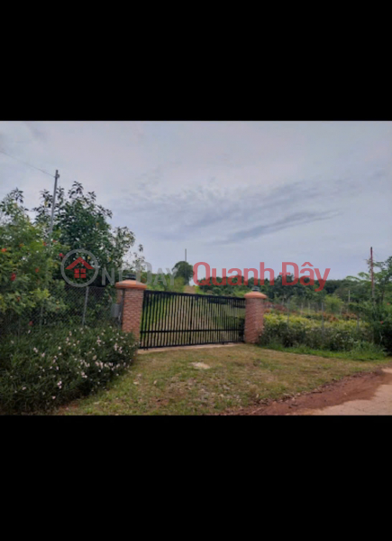 Property Search Vietnam | OneDay | Nhà ở, Niêm yết bán | ĐẤT KHU NGHỈ DƯỠNG RETREAT LAKESIDE - Giáp Hồ Trị An, Xã La Ngà, Huyện Định Quán, Đồng Nai