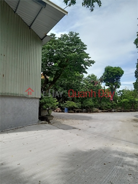 Bán 3ha đất kho nhà xưởng tại Cụm công nghiệp Ninh Hiệp, Huyện Gia Lâm, TP Hà Nội Việt Nam Bán đ 900 triệu