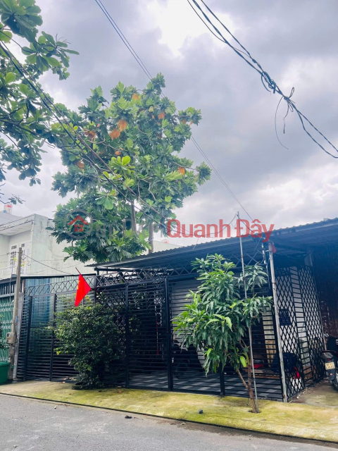 PRIME LOCATION - GREAT PRICE - QUICK SALE - SINGLE-STORY HOUSE – 8M ALLEY – Tran Thi Nam Street, District 12 _0