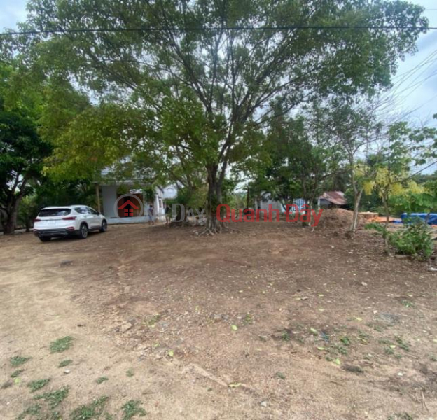 Property Search Vietnam | OneDay | Sales Listings, Land for sale in front of DT 720 (or National Highway 55),Rang Dong residential area, Gia Huynh Commune, Tanh Linh District, Binh Thuan Province.