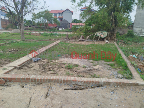 Selling 43m2 of land in group 9, Quang Minh, Me Linh. Near Industrial Park and College of Medicine and Pharmacy _0