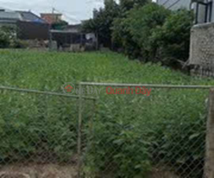 ĐẤT ĐẸP – GIÁ TỐT – CHÍNH CHỦ CẦN BÁN ĐẤT TẠI Xã Nghi Xá, Huyện Nghi Lộc, Tỉnh Nghệ An Việt Nam Bán | đ 2,55 tỷ