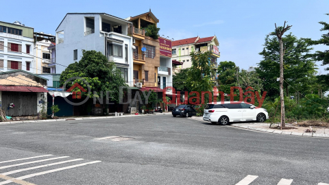 Co Linh-Bat Khoi garden villa, 324m x 3 floors, 10m frontage, garden, garage for 4 cars, full residential land _0