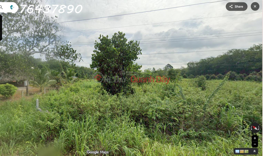 Property Search Vietnam | OneDay | Nhà ở Niêm yết bán, Bán đất tại đường Lò Rèn, Long Hòa, 4,5tr/m2, 3500m2, view đẹp, nhiều tiện ích