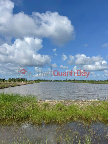 Property Search Vietnam | OneDay | Residential | Sales Listings OWNER NEEDS TO SELL Rice Field Land Near Cai Lon Canal, Tac Cau, Kien Giang