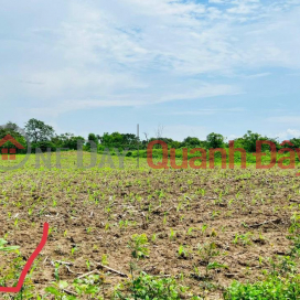 Cần Bán Nhanh 2 lô Đất Đẹp - Giá Tốt tại huyện Krông Pắk tỉnh Đắk Lắk _0