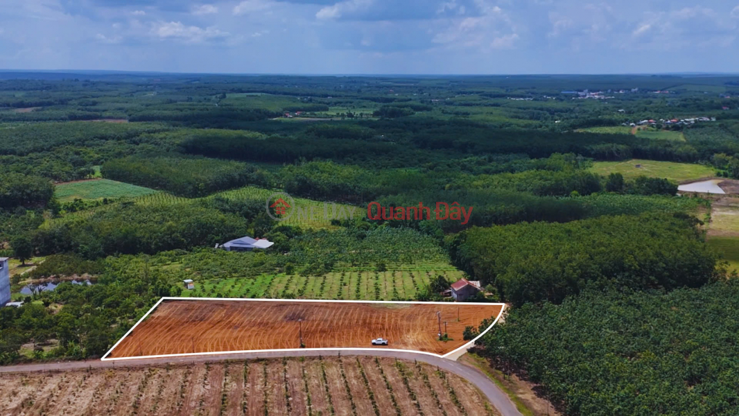 19M STATE-OWNED RESIDENTIAL LAND PLOT FOR SALE | Vietnam, Sales đ 499 Million