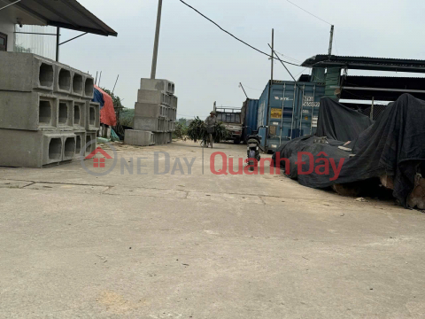 Bán 84m đất đấu giá Bến Trung, Bắc Hồng - Cạnh đường QH 40m _0