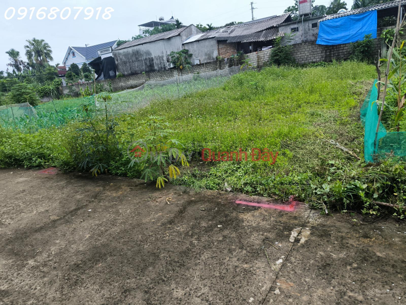Property Search Vietnam | OneDay | Residential | Sales Listings | Urgent land sale at Provincial Road 317C, Thang Son Commune, Thanh Son, Phu Tho, 730 million, 100m2