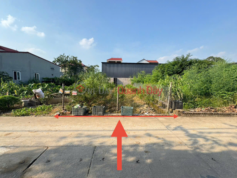 Selling a super nice plot of land in Ap Tre village, group 9, Quang Minh. 1 house away from the 20m wide road | Vietnam | Sales, đ 4.95 Billion