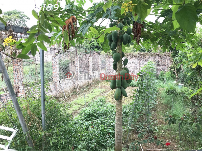 đ 10 triệu/ tháng, Cho thê đất ( gần 500m2) tại Thôn Thượng, Sóc Sơn Hà Nội, giá thỏa thuận