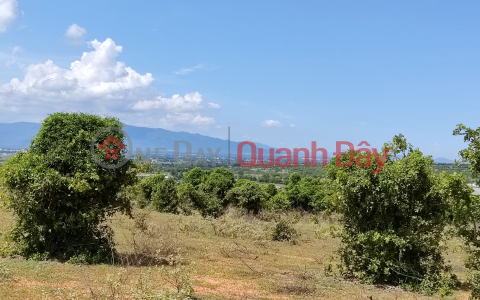 3,756m2 of cashew growing land, 1.5km from town and National Highway 1A _0