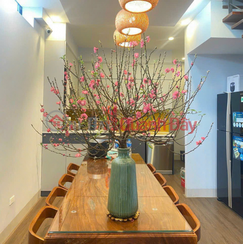 SUPER HOT - THANH TRI - BEAUTIFUL HOUSE - CAR - FREE FULL FURNITURE - 50M2 - 4 FLOORS - OVER 4 BILLION! _0