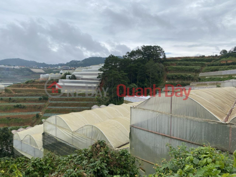 For Sale Urgent Land Lot Beautiful Investment Price In Xuan Tho Da Lat, Lam Dong _0