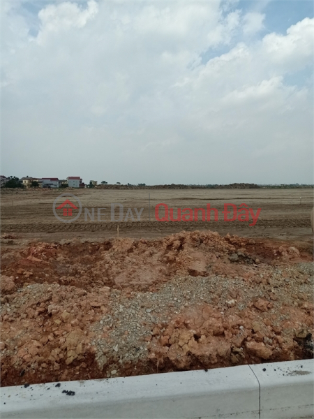Property Search Vietnam | OneDay | Office / Commercial Property Sales Listings, Selling 1,000m2 of warehouse land for 50 years in Dai Thang, Phu Xuyen District, Hanoi