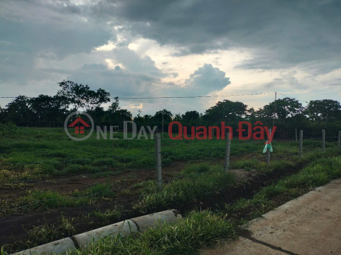BEAUTIFUL LAND - INVESTMENT PRICE - OWNER URGENTLY NEEDS TO SELL LAND LOT in Ea Mdróh Commune, Cu M'gar District - Dak Lak Province _0