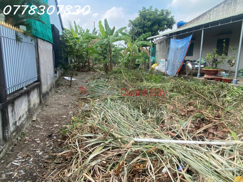 đ 12.35 Billion Selling a prime plot of land in Binh Tam commune, Tan An district, Long An province, area 325m2, ideal for investment.