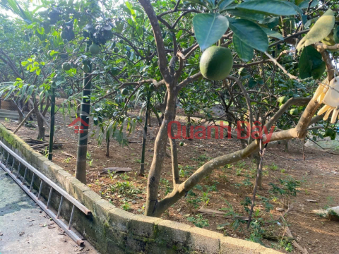 LAND LOT IN GOOD LOCATION - INVESTMENT PRICE OWNER NEEDS TO SELL QUICKLY land lot in Chuong My district, Hanoi city _0