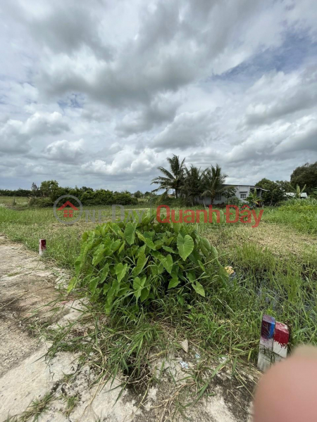 ₫ 1.15 Billion HOT HOT TO OWN A BEAUTIFUL LOT OF LAND - GOOD PRICE IN Can Giuoc, Long An