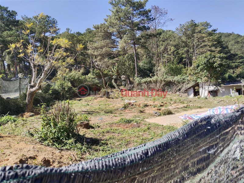 ₫ 16 Billion | BEAUTIFUL LAND - GOOD PRICE - Land Lot For Sale Prime Location In Lam Dong province